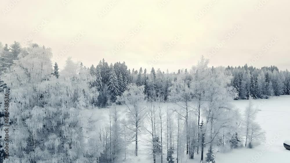 Aerial Winter landscape white forest tree and snow on frozen ground Aerial Winter landscape white forest tree and snow on frozen ground