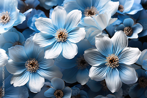 A bunch of white, yellow and blue flowers. Blue floral background.