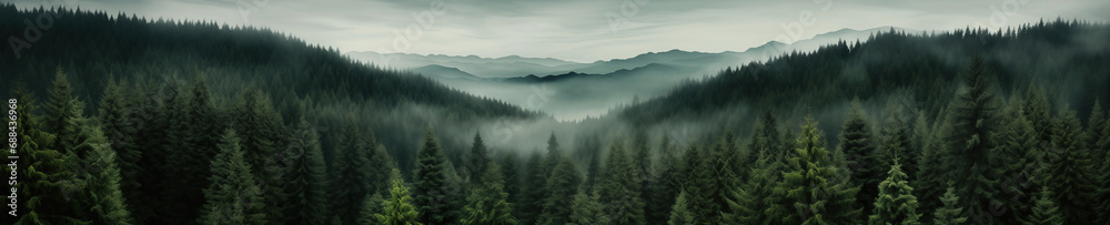 A group of pine trees with green needles. Forest pattern background. - obrazy, fototapety, plakaty 