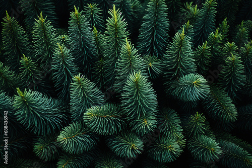 A close up of pine cones and branches background pattern.