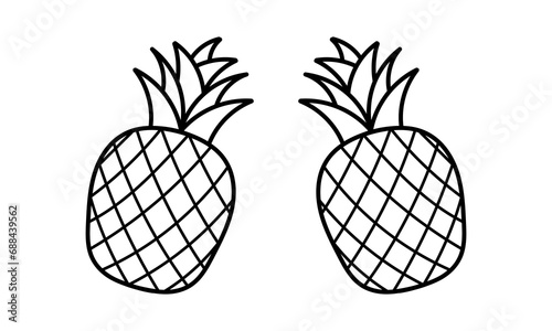hand drawn pineapple fruit on a white background