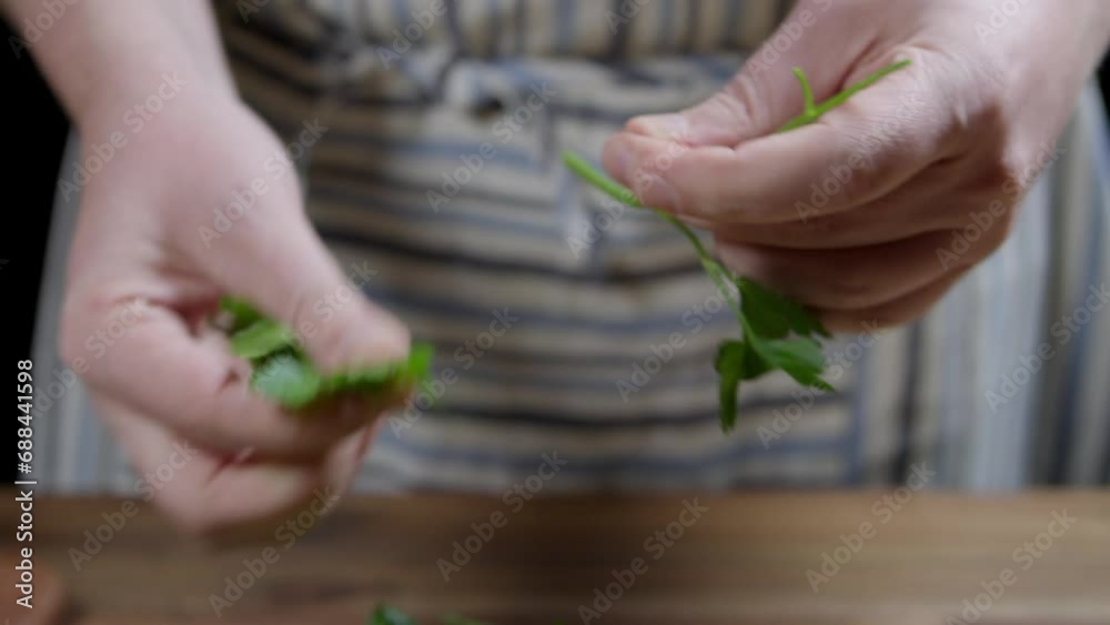 Chef cutting fresh parsley leaves with hands and fingers. Chimichurri Argentine sauce Chef cutting fresh parsley leaves with hands and fingers. Chimichurri Argentine sauce