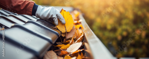Autumn leaves work . Cleaning roof gutter from fallen leaves. photo