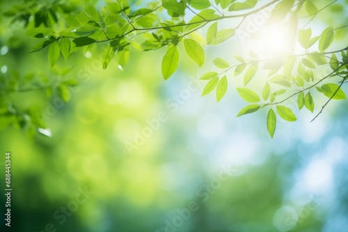 Blurred bokeh background of fresh green spring, summer foliage of tree leaves with blue sky and sun flare