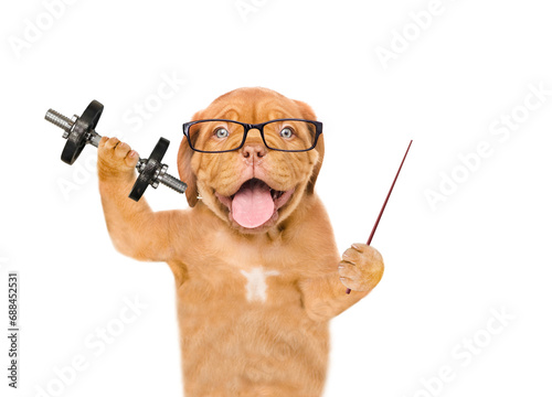 Happy mastiff puppy wearing eyeglasses lifts dumbbell and points away on empty space. isolated on white background © Ermolaev Alexandr