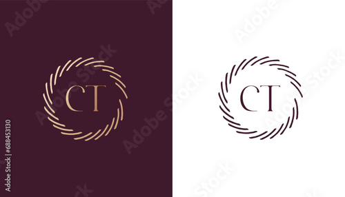 CT logo design vector image