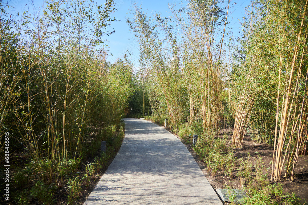 Japanese Garden Corner. Plants and paths in the park Japanese Garden Corner. Plants and paths in the park