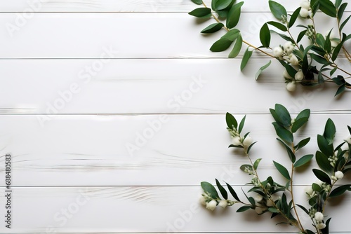 space copy view top lay Flat board white eucalyptus background Minimal rustic wooden leaves branches wood texture wall plank table fresh #688480583