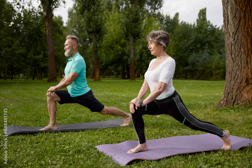Fototapeta premium Happy senior couple doing yoga stretching exercise outdoors