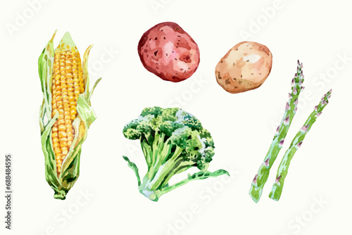 Watercolor hand drawn set of vegetables