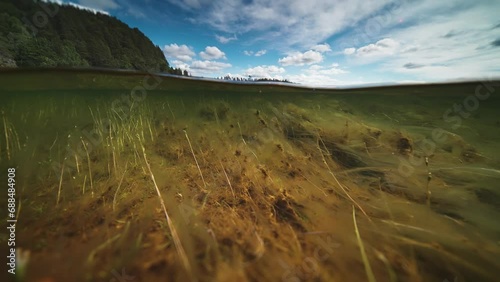 Split-level view over and underwater on the Otra River, Norway. Long weeds float above the sandy riverbed. photo