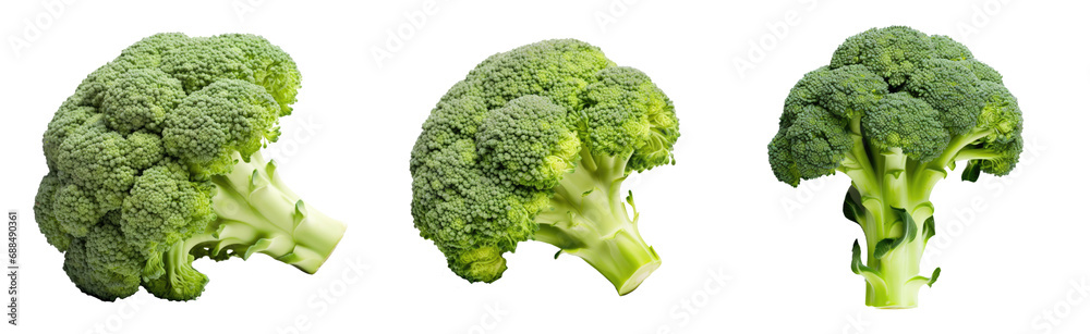 set collection of broccoli isolated on white or transparent png set collection of broccoli isolated on white or transparent png