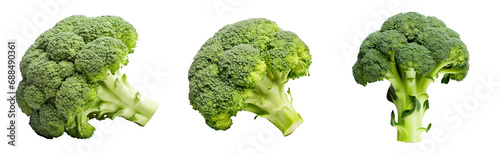 set collection of broccoli isolated on white or transparent png