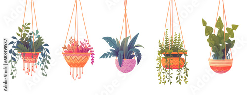 Indoor plants in hanging pots