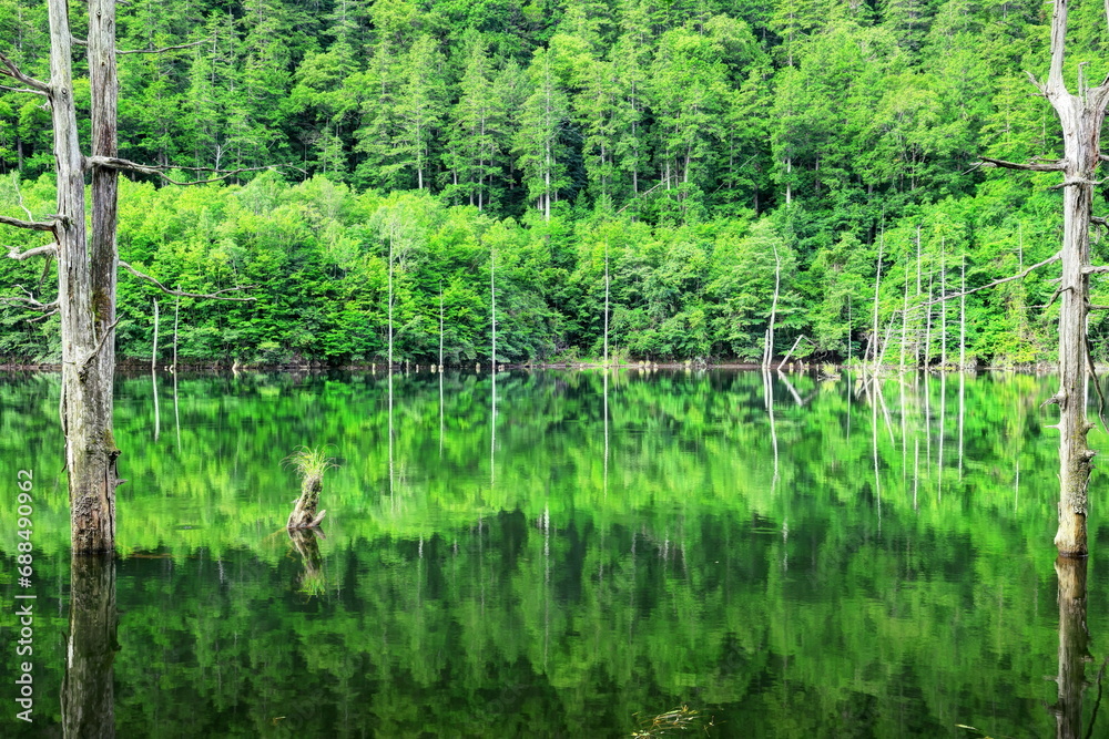 夏の自然湖