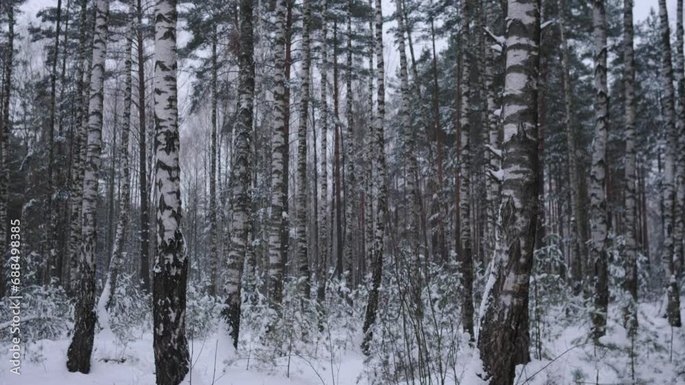 View of winter snowy forest background 4k View of winter snowy forest background 4k