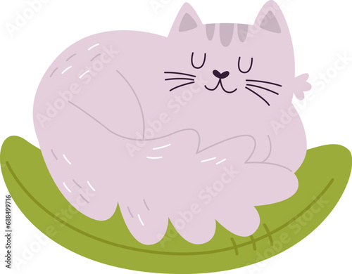 Cat Sleeping In Nest