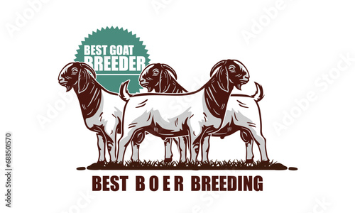 BIG AND YOUNG BOOER GOAT STANDING LOGO, silhouette of great ram breeding goat vector illustrations