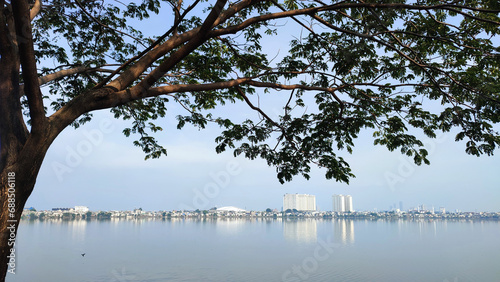 Lake Pluit city park, North Jakarta, with a large shady tree in the foreground. photo