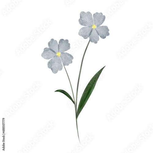 Illustration of two flowers and leaves