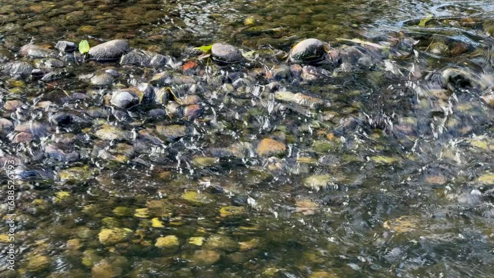 A shallowsection of the river Arrow flowing over a bed of pebbles in the Warwickshire countryside, England. A shallowsection of the river Arrow flowing over a bed of pebbles in the Warwickshire countryside, England.