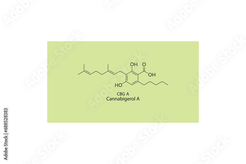 CBG A - Cannabigerol A molecular skeletal structure. Cannabinoid chemical structure vector illustration on green background.