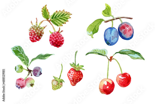 Set of watercolor temperate fruit elements