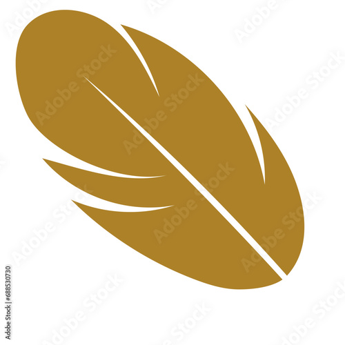 bird feather illustration