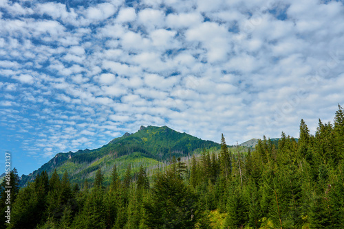 Amazing view on mountains range near forest trees at summer day. Tatra National Park in Poland