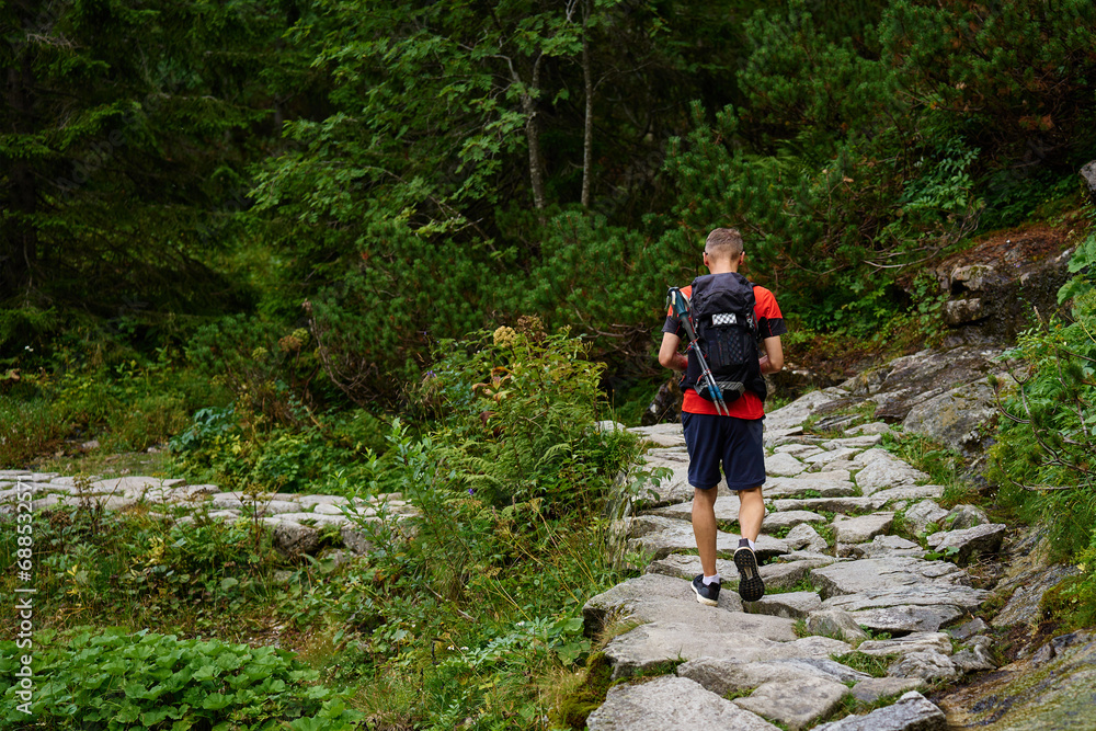 Back view of man hiking in mountains with backpack. Male traveler walking in forest. Traveling in national park. Active recreation Back view of man hiking in mountains with backpack. Male traveler walking in forest. Traveling in national park. Active recreation