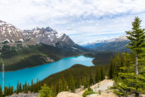 High angle view of the turquoise colored water of glacier-fed Peyto Lake, Alberta, Canada in the Canadian Rockies of Banff National Park against a white clouded sky
