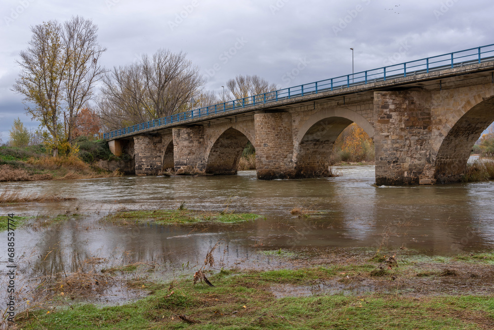 Fototapeta premium Bridge over the Arga River. Miranda de Arga, Navarra