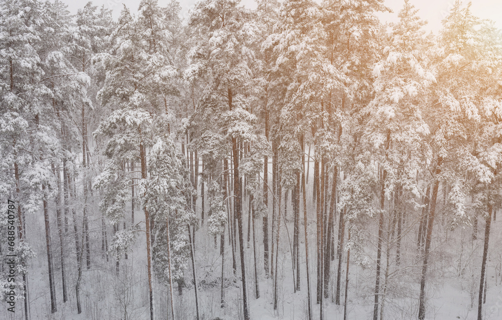 Aerial view winter landscape Aerial view winter landscape
