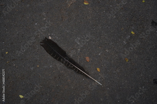 rain on asphalt