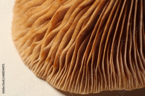 Raw forest mushroom on beige background, macro view