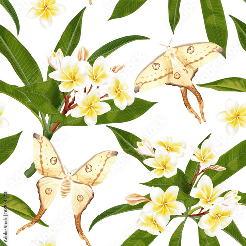 Seamless tropical pattern with plumeria flowers, frangipani and white butterfly, Luna moth.