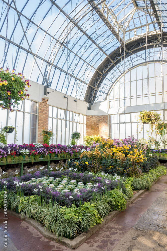 Beautiful day at Auckland Domain Wintergardens, New Zealand.