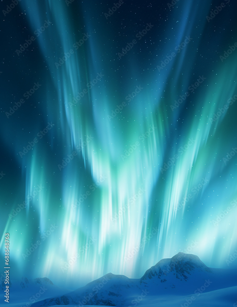 Fototapeta premium Northern lights (Aurora borealis) in the sky