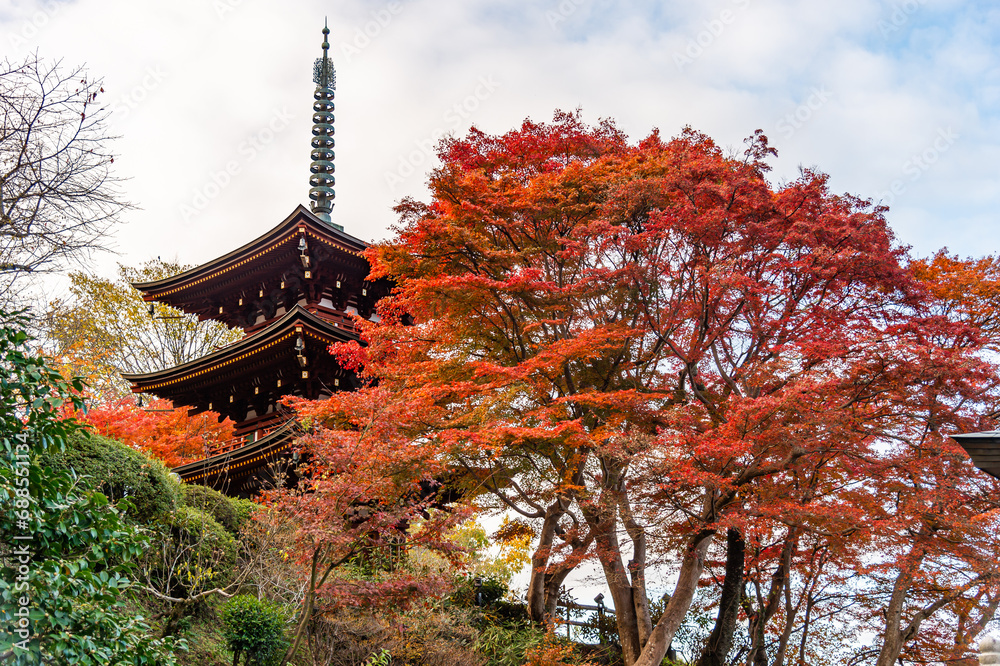 Obraz premium 岡寺
