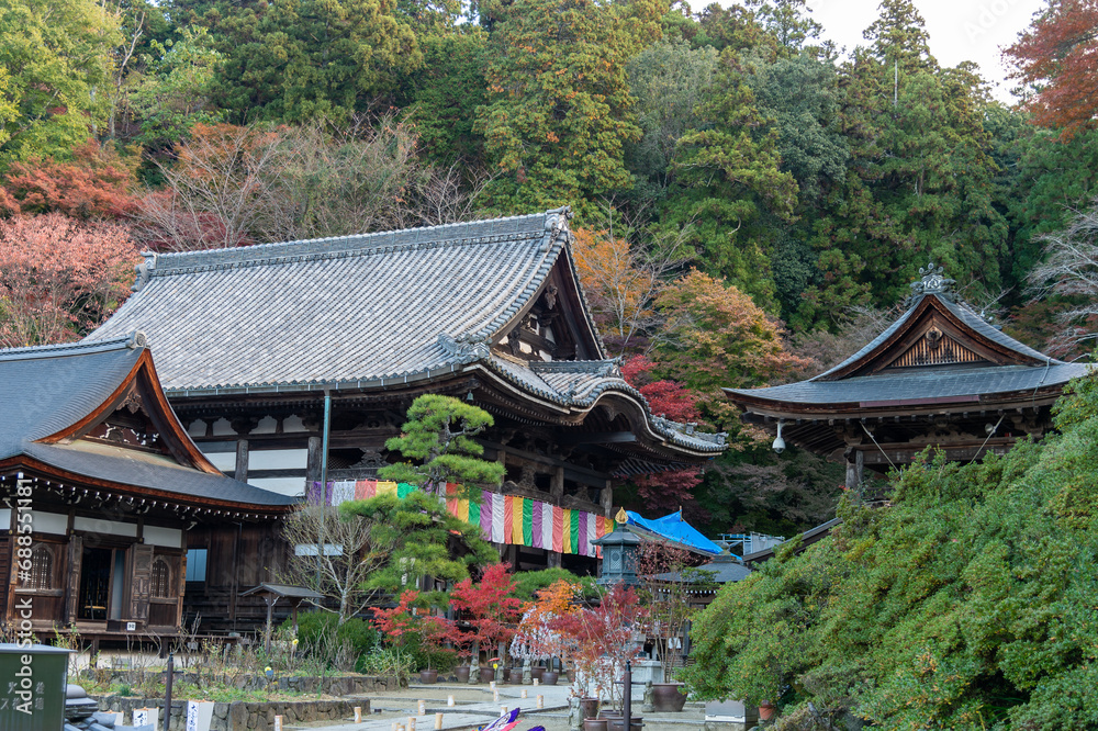 岡寺