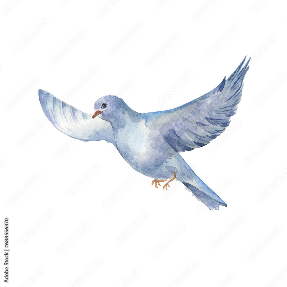 Naklejka premium Watercolor illustration of a flying bird with spread wings isolated on white background. Hand drawn magpie sandpipe in pastel colors. Painted pegion bird. Design element for card, spring composition