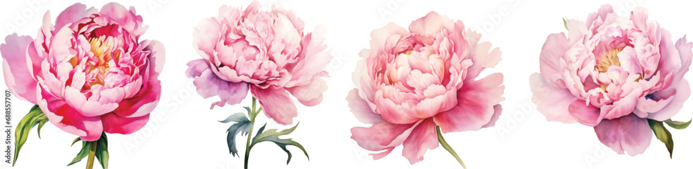 Watercolor pink peony large beautiful flowers print poster vector illustration wedding engagement design, generative AI