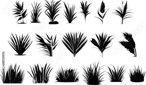 Herbes vectoriel silhouette brush photo