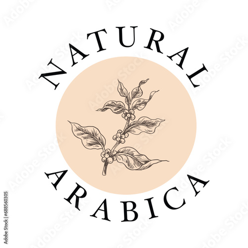 logo design template of coffee tree on sketch ink drawing for label packaging, sticker, poster, promotion, banner, t-shirt, tote bag, stamp.