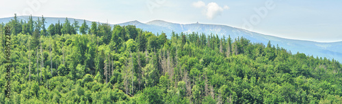 View of the Śnieżka Mountain massif seen from the Chojnik castle