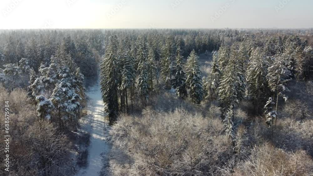 Aerial view over snowy forest near Munich. Pine tree forest in south Germany covered by ice in winter Aerial view over snowy forest near Munich. Pine tree forest in south Germany covered by ice in winter