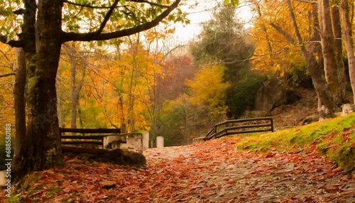 beautiful autumn landscape with colorful foliage in the park falling leaves natural background