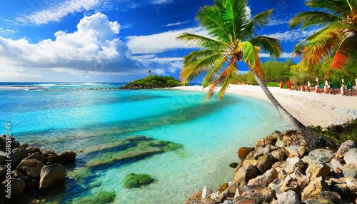 scenic coral beach with palm tree
