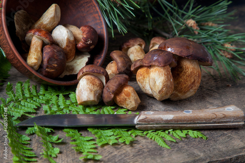 Imleria Badia or Boletus badius mushrooms commonly known as the bay bolete, clay bowl with mushrooms and knife on vintage wooden background..