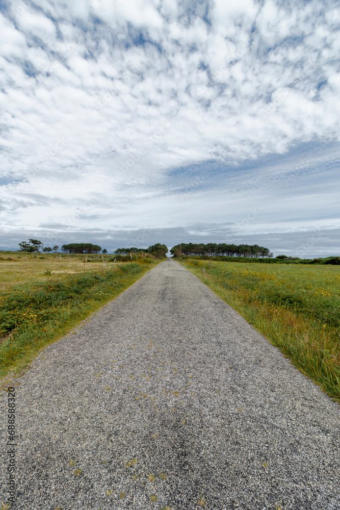 A gravel path leads through a green field towards the horizon, under a cloudy blue sky with trees in the background A gravel path leads through a green field towards the horizon, under a cloudy blue sky with trees in the background